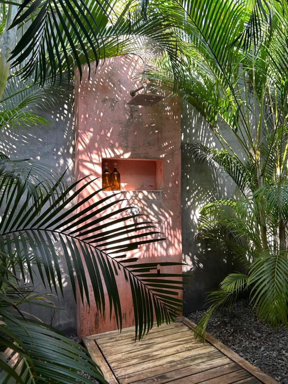Swell Hotel El Paredon Buena Vista Exterior photo